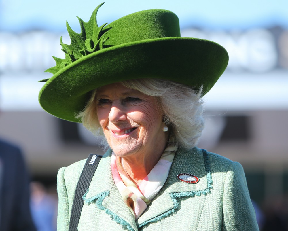 Герцогиня Камилла и другие королевские женщины попали в шляпу в Челтенхеме