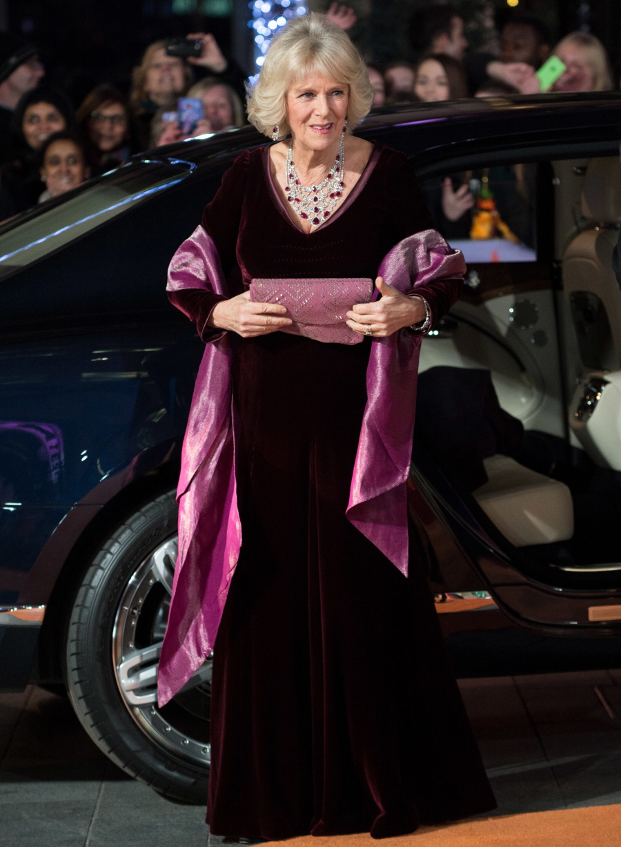 Герцогиня Камилла из сливового бархата и роскошных украшений: сказочная или нежная?