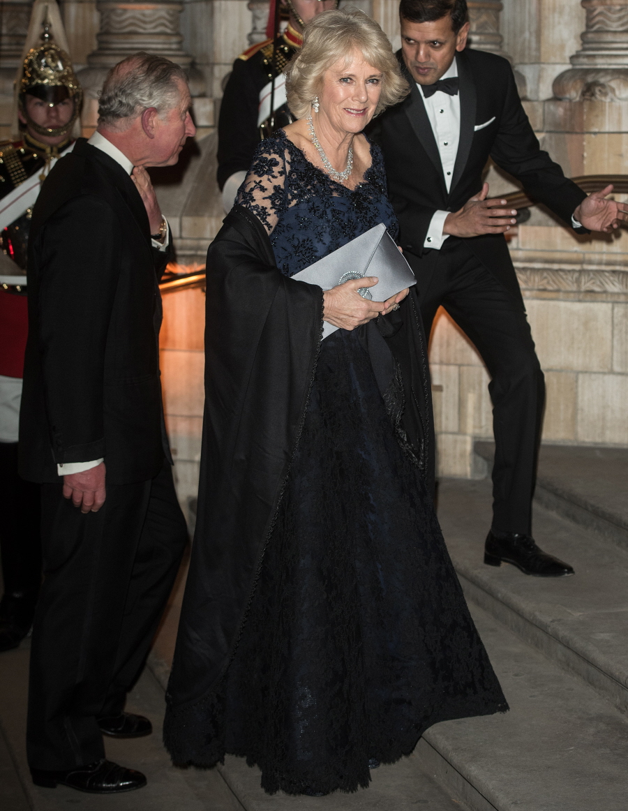 Герцогиня Камилла в Брюсе Олдфилде, капающая бриллиантами: милая или придурковатая?