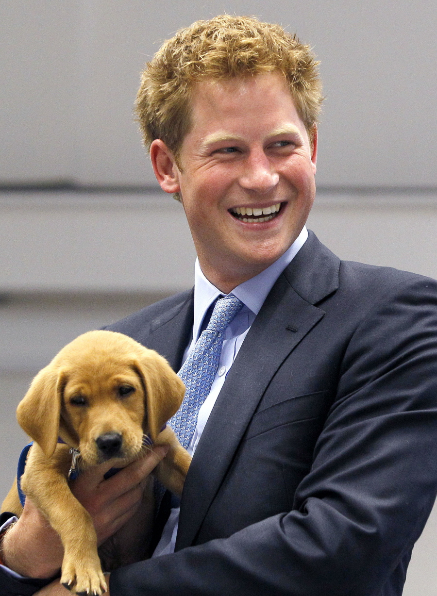 Герцогиня Кейт наконец-то подарила принцу Гарри щенка лабрадора на Рождество