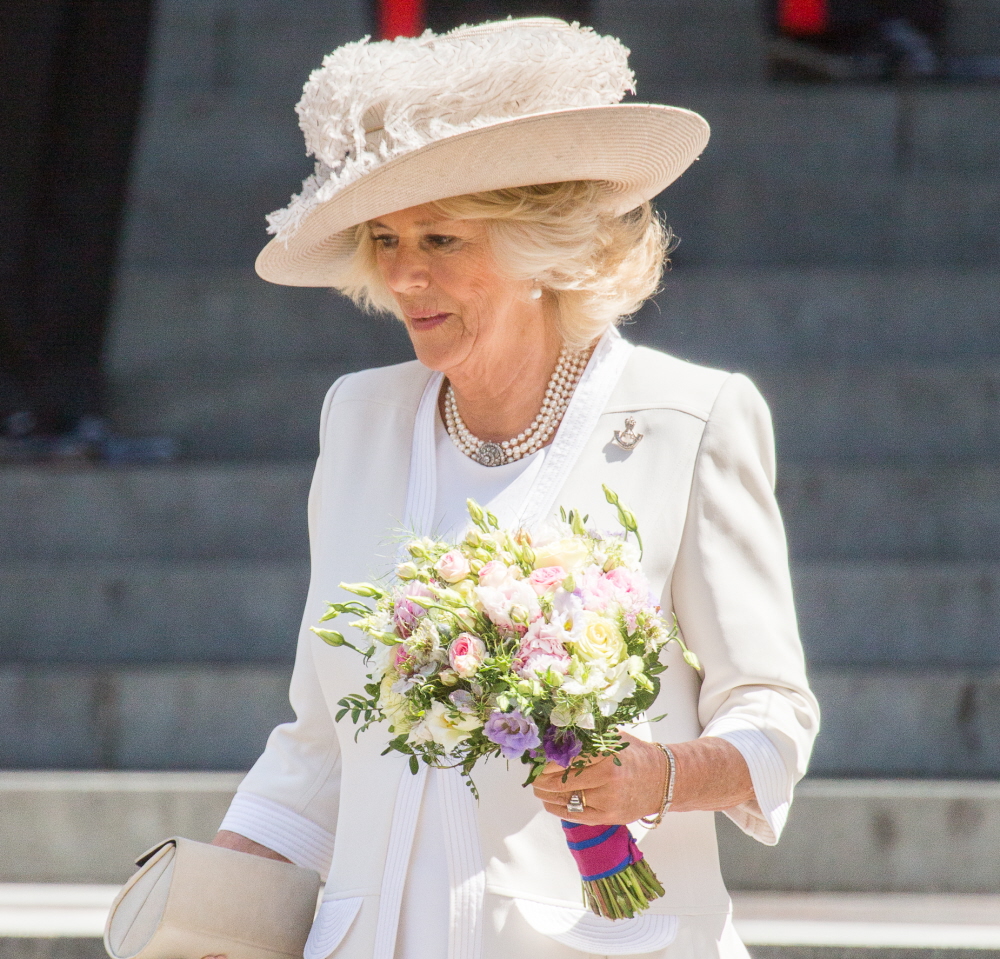 Герцогиня Камилла носит Анну Валентайн на праздновании 200-летия Ватерлоо